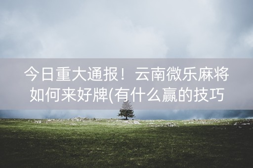 今日重大通报！云南微乐麻将如何来好牌(有什么赢的技巧)
