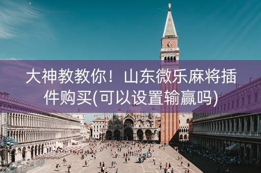 大神教教你！山东微乐麻将插件购买(可以设置输赢吗)