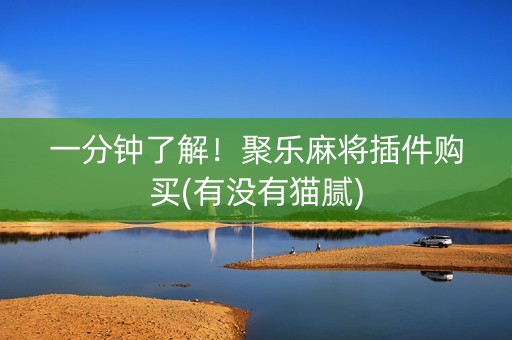 一分钟了解！聚乐麻将插件购买(有没有猫腻)