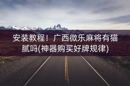 安装教程！广西微乐麻将有猫腻吗(神器购买好牌规律)