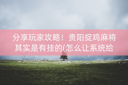 分享玩家攻略！贵阳捉鸡麻将其实是有挂的(怎么让系统给好牌)