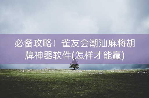 必备攻略！雀友会潮汕麻将胡牌神器软件(怎样才能赢)
