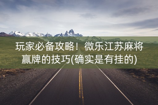玩家必备攻略！微乐江苏麻将赢牌的技巧(确实是有挂的)