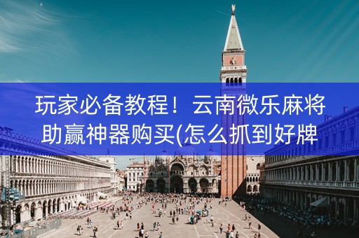 玩家必备教程！云南微乐麻将助赢神器购买(怎么抓到好牌)