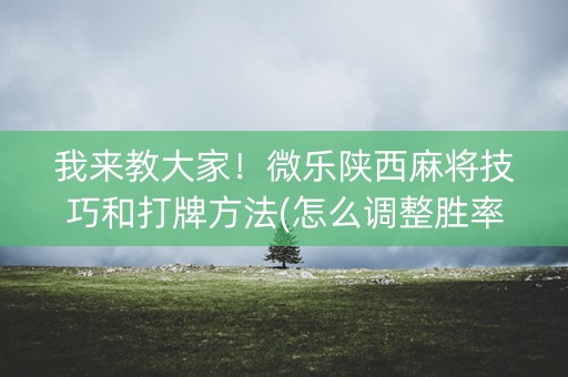 我来教大家！微乐陕西麻将技巧和打牌方法(怎么调整胜率)