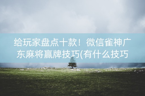 给玩家盘点十款！微信雀神广东麻将赢牌技巧(有什么技巧)