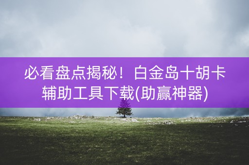必看盘点揭秘！白金岛十胡卡辅助工具下载(助赢神器)