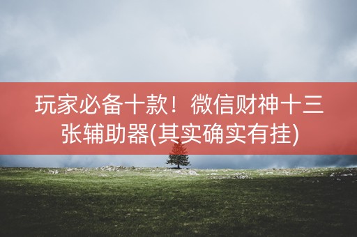 玩家必备十款！微信财神十三张辅助器(其实确实有挂)