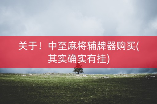 关于！中至麻将辅牌器购买(其实确实有挂)
