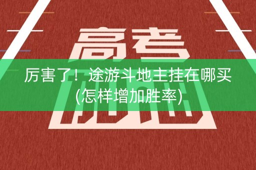 厉害了！途游斗地主挂在哪买(怎样增加胜率)