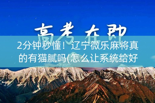 2分钟秒懂！辽宁微乐麻将真的有猫腻吗(怎么让系统给好牌)