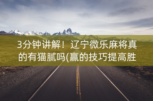 3分钟讲解！辽宁微乐麻将真的有猫腻吗(赢的技巧提高胜率)