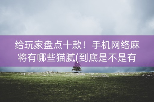给玩家盘点十款！手机网络麻将有哪些猫腻(到底是不是有挂)
