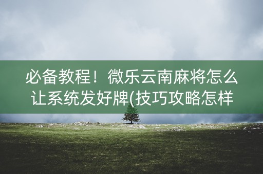 必备教程！微乐云南麻将怎么让系统发好牌(技巧攻略怎样拿好牌)