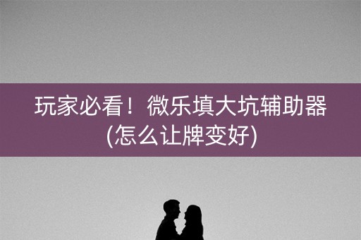 玩家必看！微乐填大坑辅助器(怎么让牌变好)