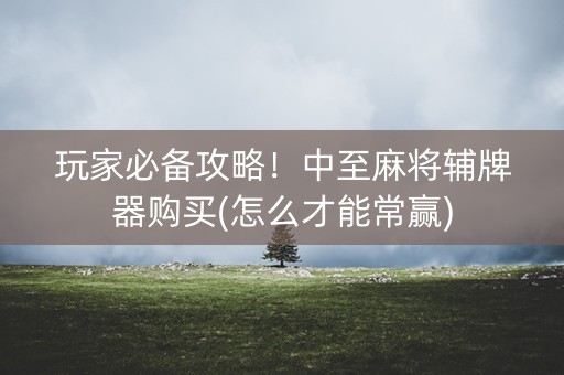 玩家必备攻略！中至麻将辅牌器购买(怎么才能常赢)