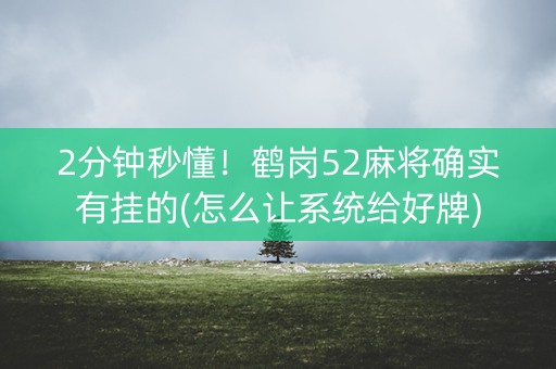 2分钟秒懂！鹤岗52麻将确实有挂的(怎么让系统给好牌)