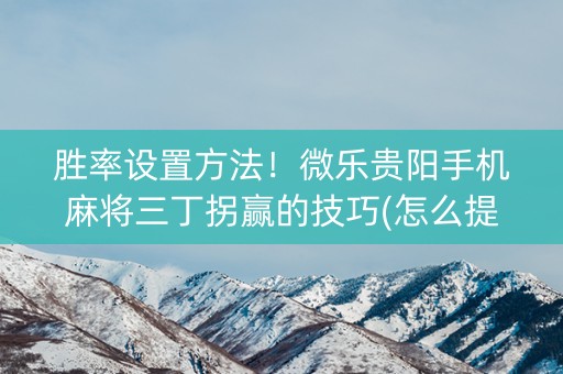 胜率设置方法！微乐贵阳手机麻将三丁拐赢的技巧(怎么提升胜率)