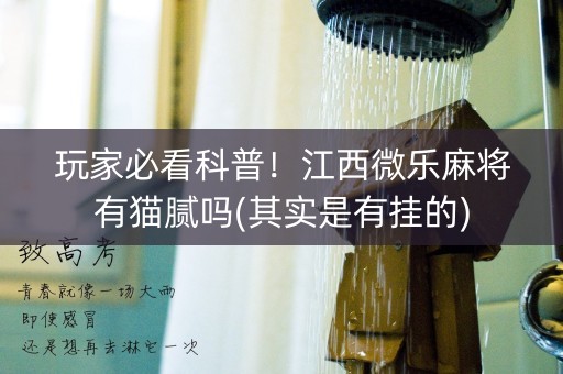 玩家必看科普！江西微乐麻将有猫腻吗(其实是有挂的)