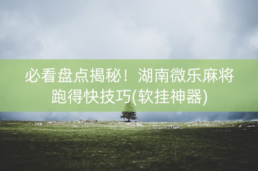 必看盘点揭秘！湖南微乐麻将跑得快技巧(软挂神器)