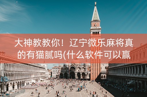 大神教教你！辽宁微乐麻将真的有猫腻吗(什么软件可以赢)