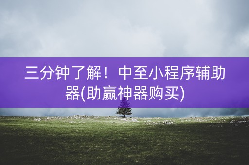 三分钟了解！中至小程序辅助器(助赢神器购买)