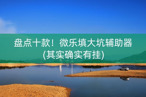 盘点十款！微乐填大坑辅助器(其实确实有挂)