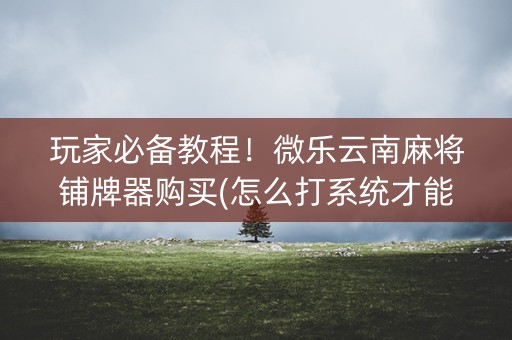 玩家必备教程！微乐云南麻将铺牌器购买(怎么打系统才能给好牌)