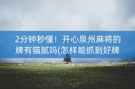 2分钟秒懂！开心泉州麻将的牌有猫腻吗(怎样能抓到好牌)