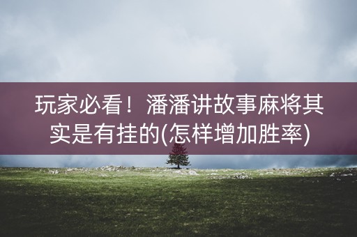 玩家必看！潘潘讲故事麻将其实是有挂的(怎样增加胜率)