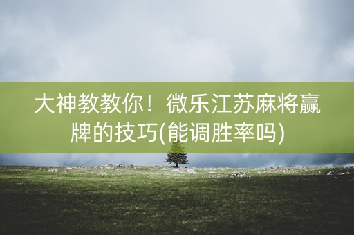 大神教教你！微乐江苏麻将赢牌的技巧(能调胜率吗)