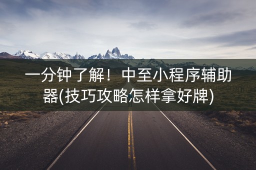 一分钟了解！中至小程序辅助器(技巧攻略怎样拿好牌)
