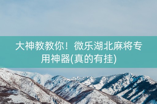 大神教教你！微乐湖北麻将专用神器(真的有挂)