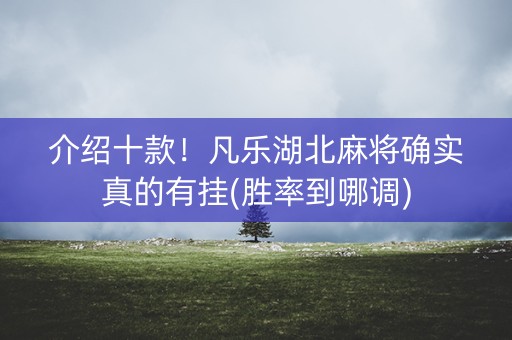 介绍十款！凡乐湖北麻将确实真的有挂(胜率到哪调)