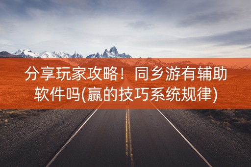 分享玩家攻略！同乡游有辅助软件吗(赢的技巧系统规律)