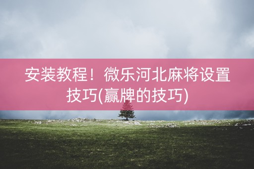 安装教程！微乐河北麻将设置技巧(赢牌的技巧)