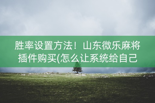 胜率设置方法！山东微乐麻将插件购买(怎么让系统给自己好牌)