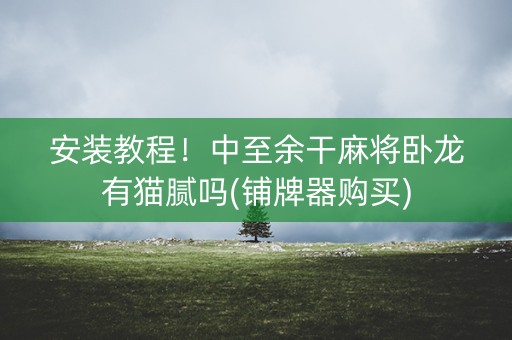 安装教程！中至余干麻将卧龙有猫腻吗(铺牌器购买)