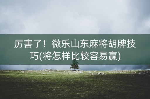 厉害了！微乐山东麻将胡牌技巧(将怎样比较容易赢)