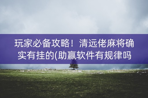 玩家必备攻略！清远佬麻将确实有挂的(助赢软件有规律吗)