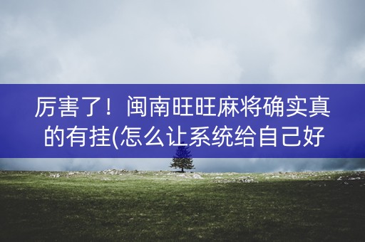 厉害了！闽南旺旺麻将确实真的有挂(怎么让系统给自己好牌)