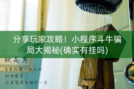 分享玩家攻略！小程序斗牛骗局大揭秘(确实有挂吗)