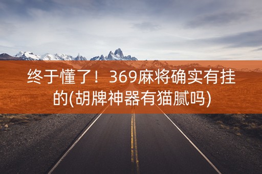 终于懂了！369麻将确实有挂的(胡牌神器有猫腻吗)