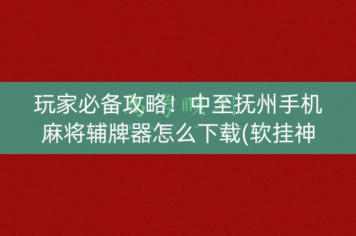 玩家必备攻略！中至抚州手机麻将辅牌器怎么下载(软挂神器)