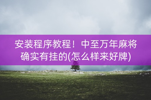 安装程序教程！中至万年麻将确实有挂的(怎么样来好牌)