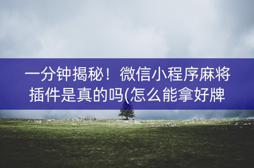 一分钟揭秘！微信小程序麻将插件是真的吗(怎么能拿好牌)