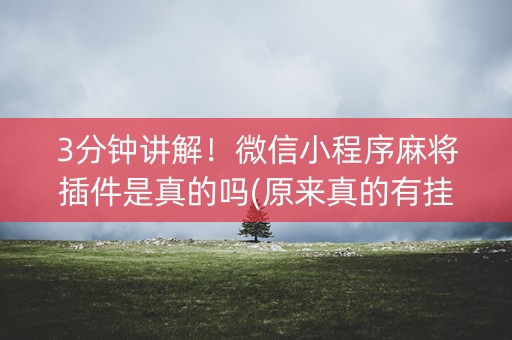 3分钟讲解！微信小程序麻将插件是真的吗(原来真的有挂)