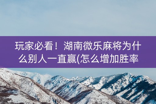 玩家必看！湖南微乐麻将为什么别人一直赢(怎么增加胜率)