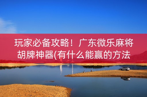 玩家必备攻略！广东微乐麻将胡牌神器(有什么能赢的方法)