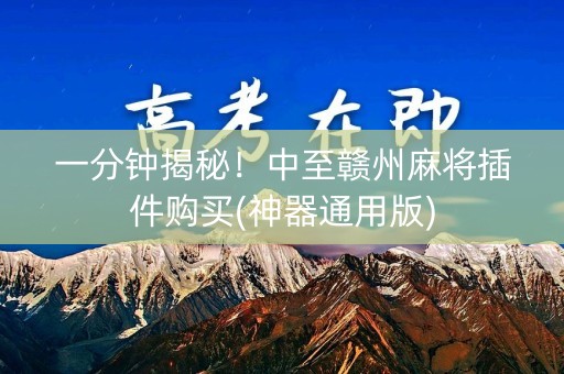一分钟揭秘！中至赣州麻将插件购买(神器通用版)